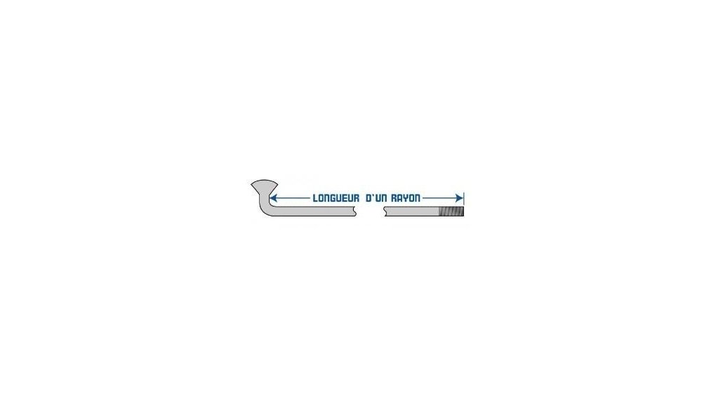 rayon 13G longueur 252 arrière Babboe City