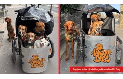 Nihola Cargo Open - Kit Dog - Nihola