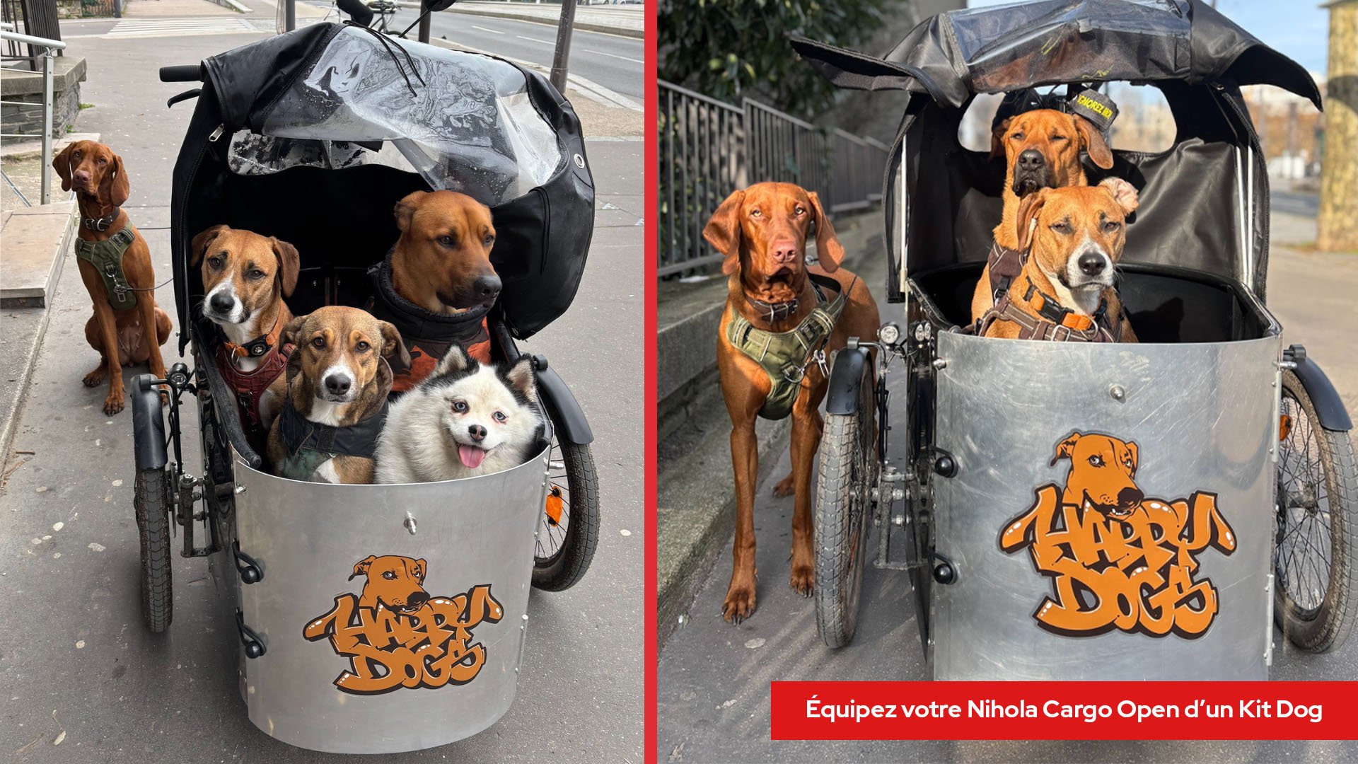 Nihola Cargo Open - Kit Dog - Nihola