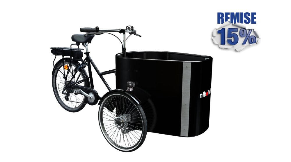 15% de remise immédiate sur ce triporteur pro avec assistance électrique !