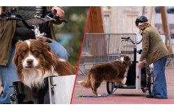 Un vélo cargo idéal pour s'offrir des balades au poil !