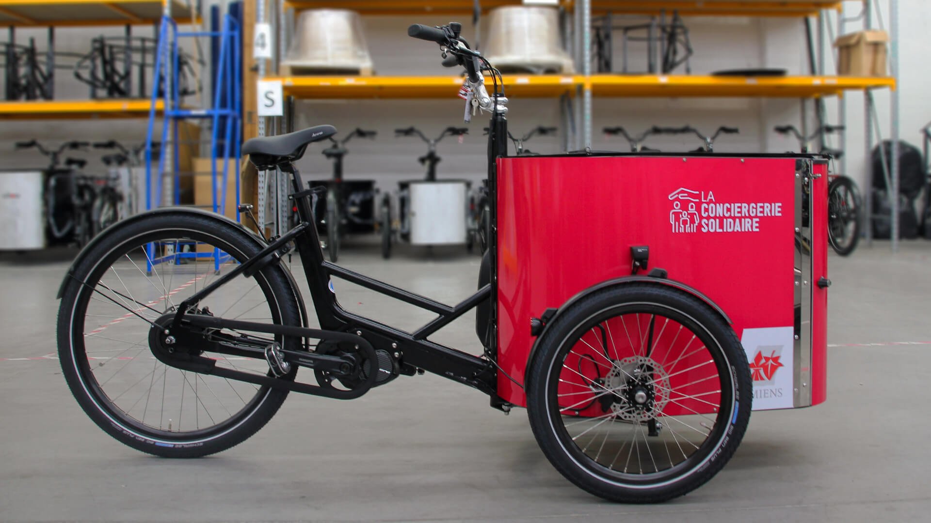 Le NIHOLA CARGO XL Pro avec malle intégralement stickée