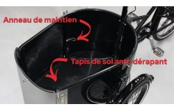 Kit Dog pour modèle NIHOLA CARGO Open