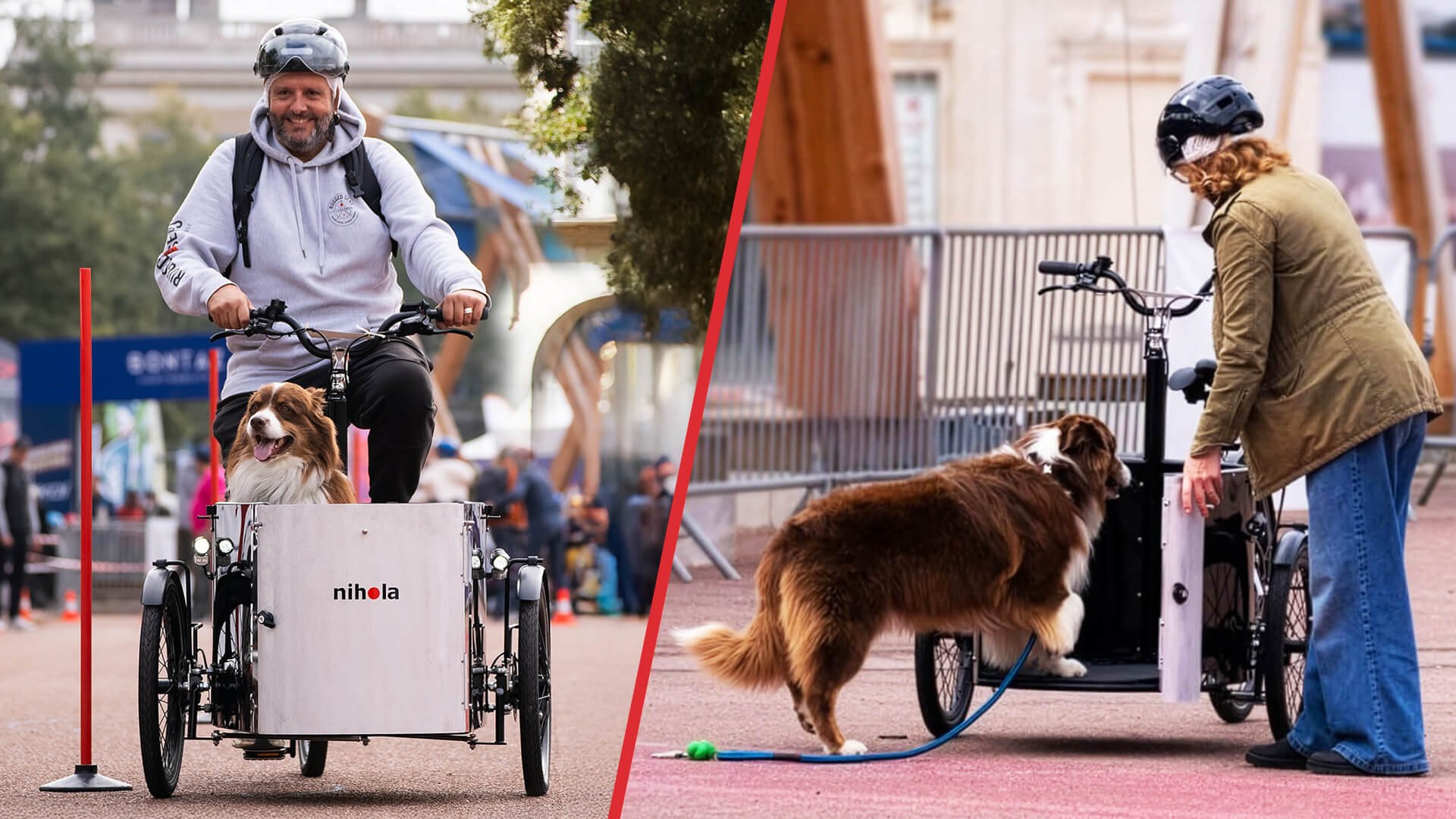 Triporteur NIHOLA CARGO Dog 