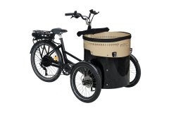 Triporteur Oriya avec assistance roue arrière Bafang