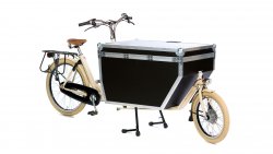 Bakfiets électrique long Cruiser pneus ballons avec porte-bagage arrière