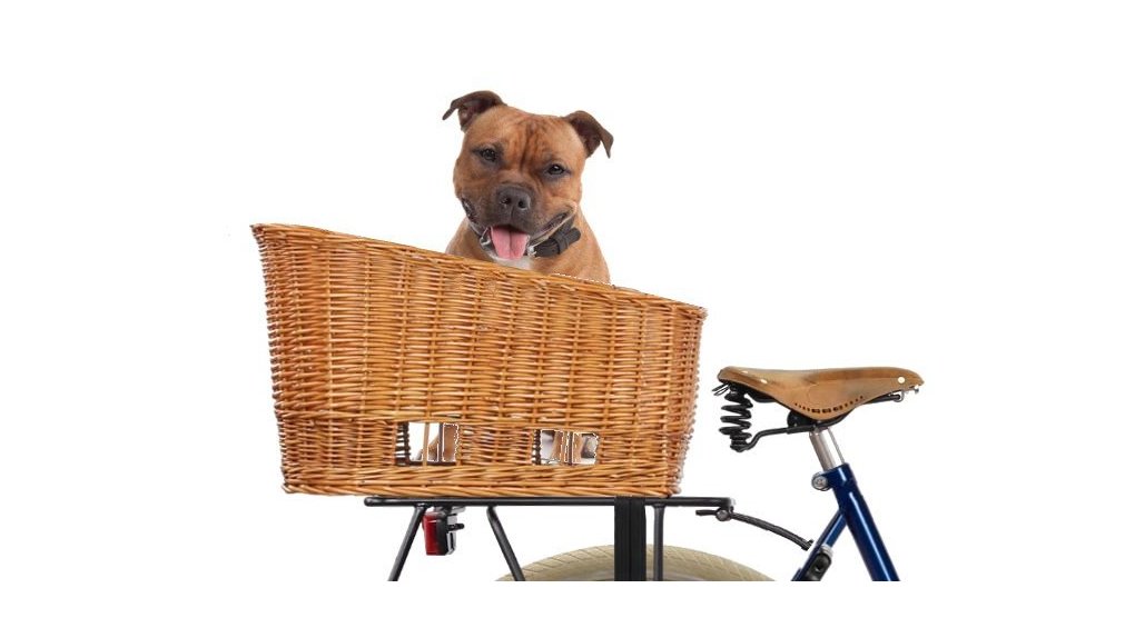 panier-chien-velo-porte-bagage panier-chien-velo-porte-bagage