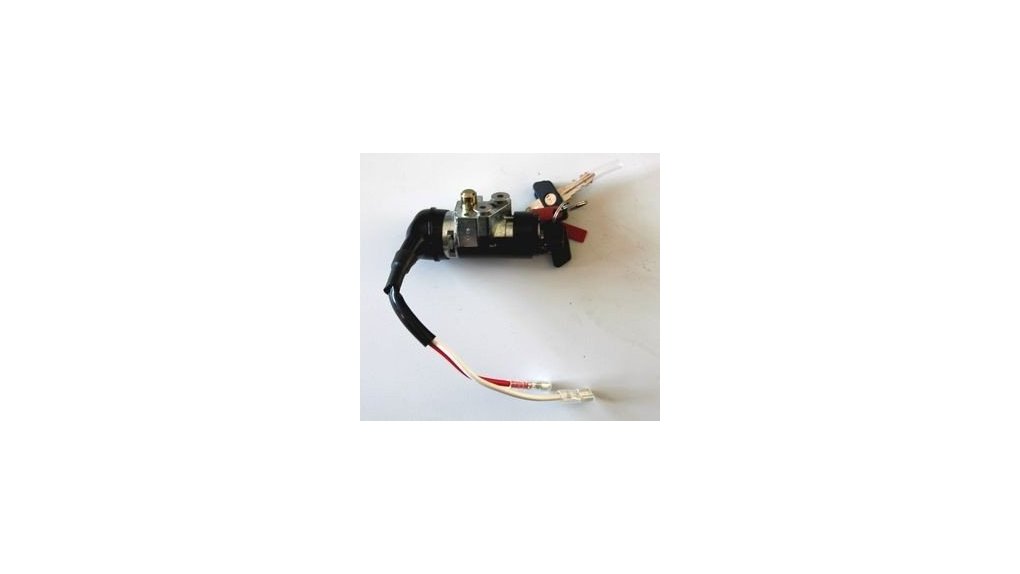 Barillet pour porte-bagage assistance Easy Power ( vélo avant avril 2016)