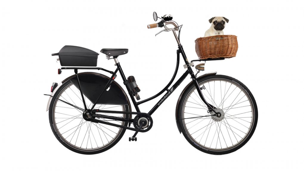 panier-chien-velo-avant-pluto panier-chien-velo-avant-pluto