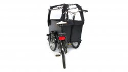 Système pendulaire du triporteur Smiley